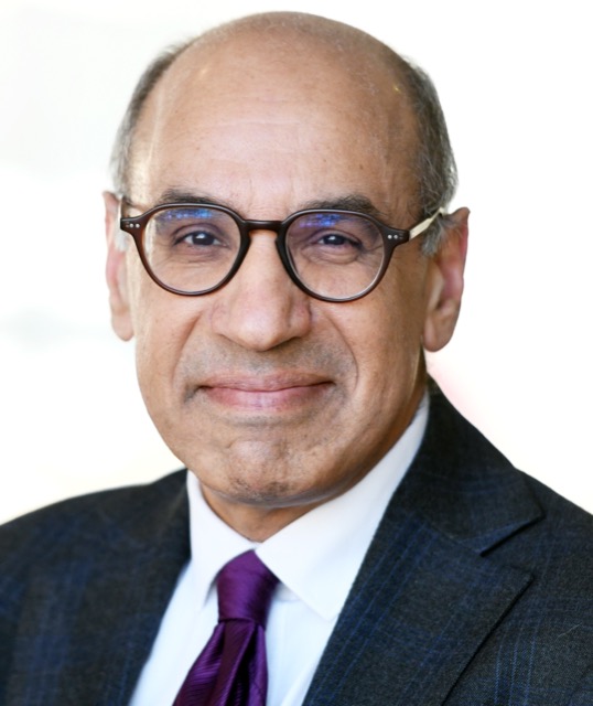Professor Zulfiqur Ali